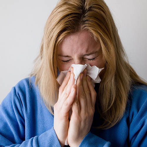 Vue interieure de la Pharmacie Savalle